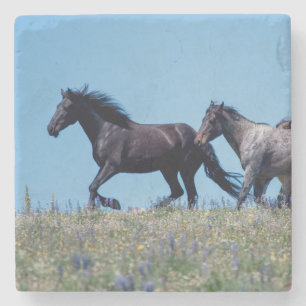 Wild Horses in Lupine Stone Coaster