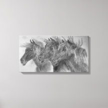 Wild horses in the wind