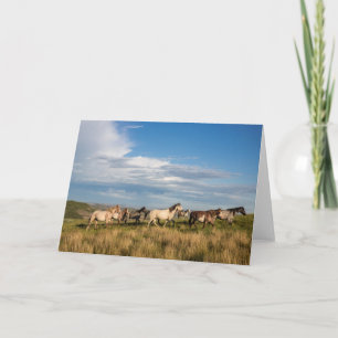 Wild Horses in Theodore Roosevelt National Park Card