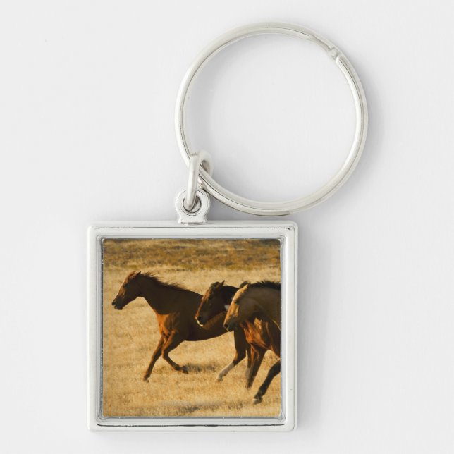 Wild horses key ring (Front)