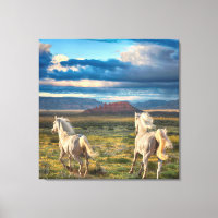 WILD HORSES “Live to Run”