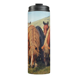 Wild Horses Livno Nature Scene Thermal Tumbler