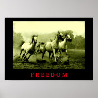 Wild Horses Motivational Freedom Artwork