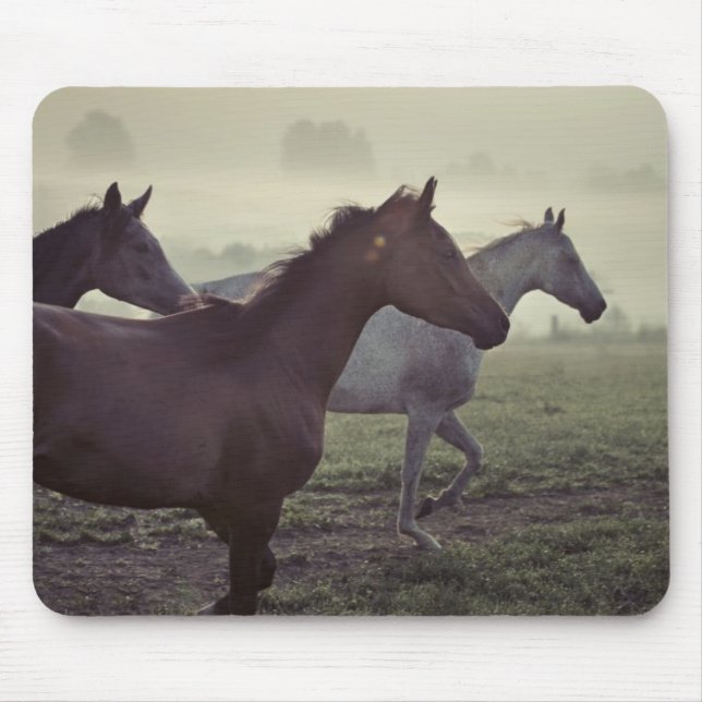 Wild horses mouse mat (Front)