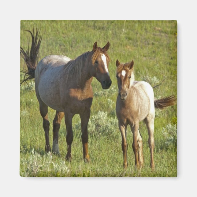 Wild Horses North Dakota Magnet (Front)