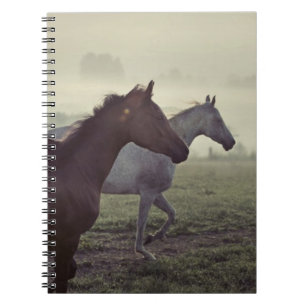 Wild horses notebook
