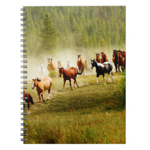 Wild Horses Notebook