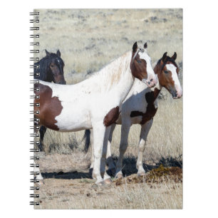 WILD HORSES NOTEBOOK