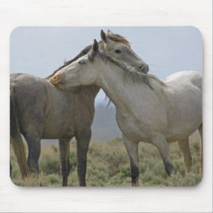 Wild Horses Nuzzling Mouse Mat