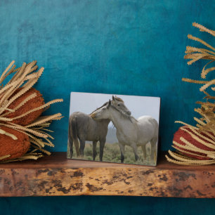 Wild Horses Nuzzling Plaque