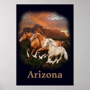 Wild Horses of Arizona  Poster