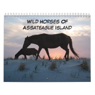 Wild Horses Of Assateague Island Calendar