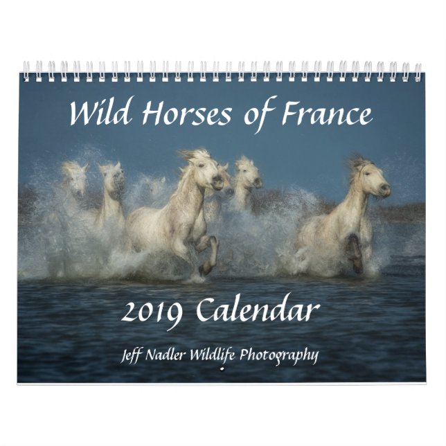 Wild Horses of France - 2019 Wall Calendar (Cover)