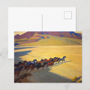 Wild Horses of Nevada by Maynard Dixon Postcard