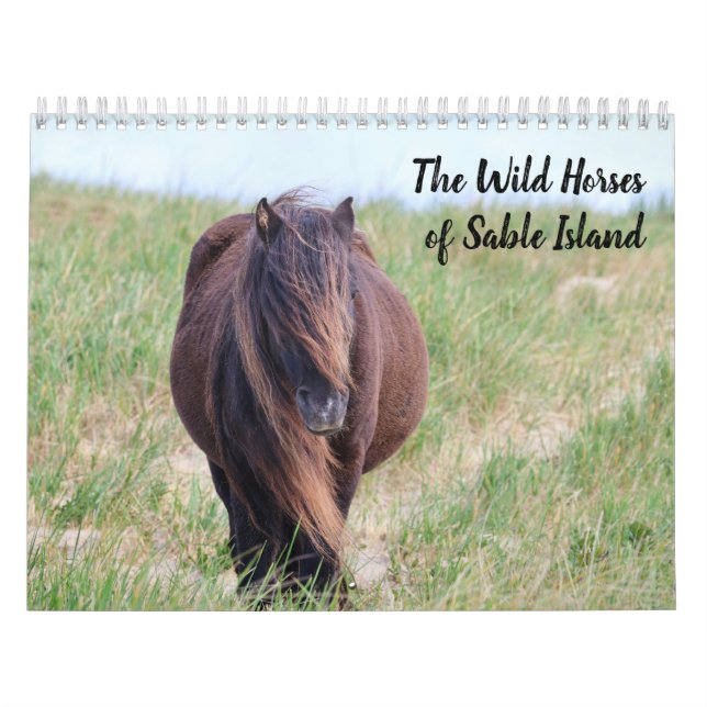 Wild Horses of Sable Island Calendar (Cover)