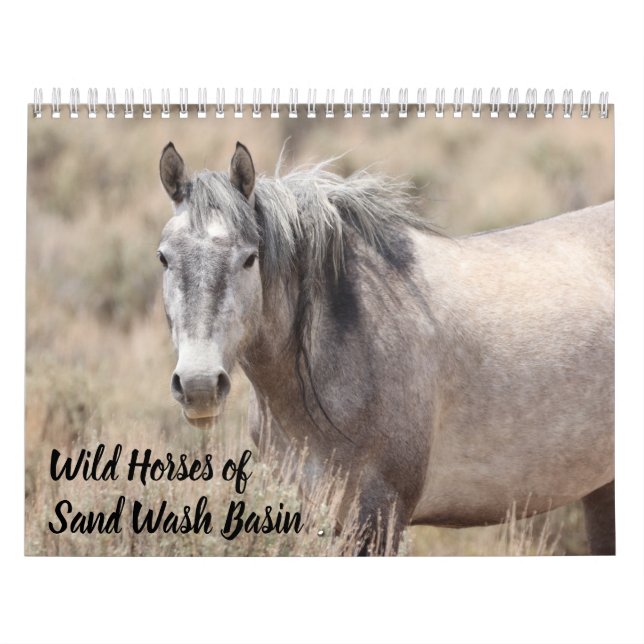 Wild Horses of Sand Wash Basin Calendar (Cover)
