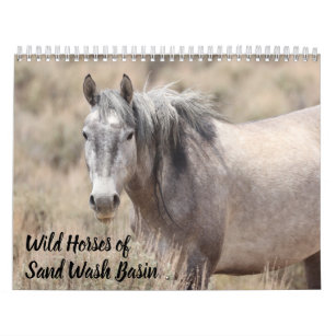 Wild Horses of Sand Wash Basin Calendar