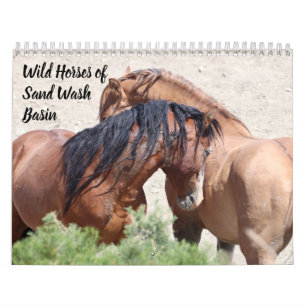 Wild Horses of Sand Wash Basin Calendar