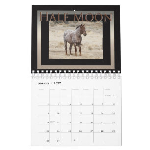 Wild Horses of Sand Wash Basin,  Colorado Calendar