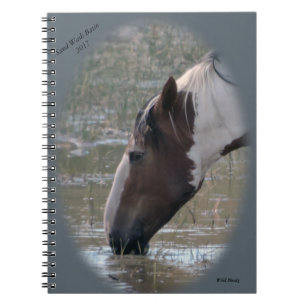 Wild Horses of Sand Wash Basin Notebook