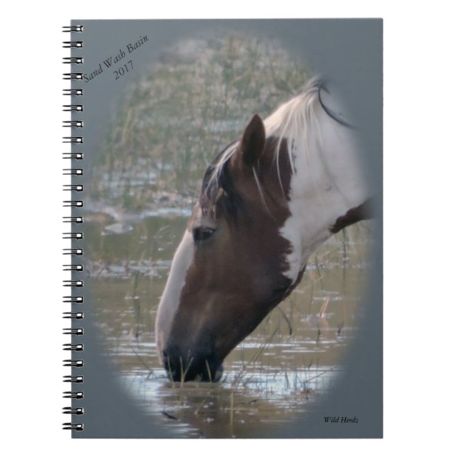 Wild Horses of Sand Wash Basin Notebook (Front)