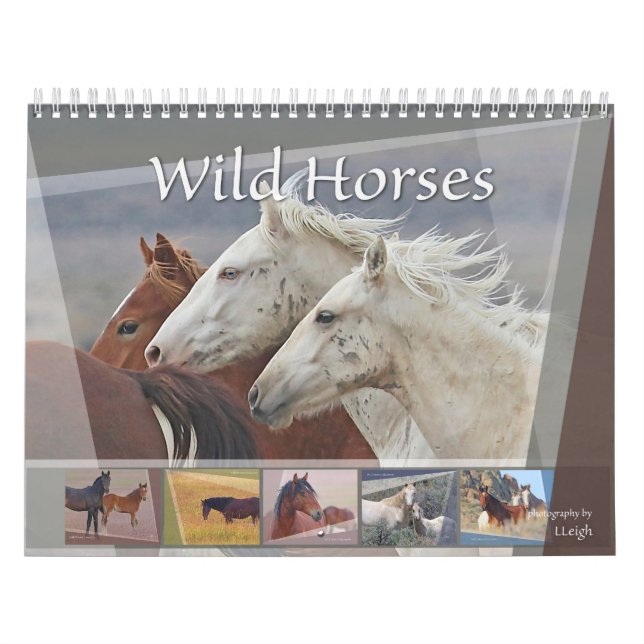 Wild Horses of the West Calendar (Cover)