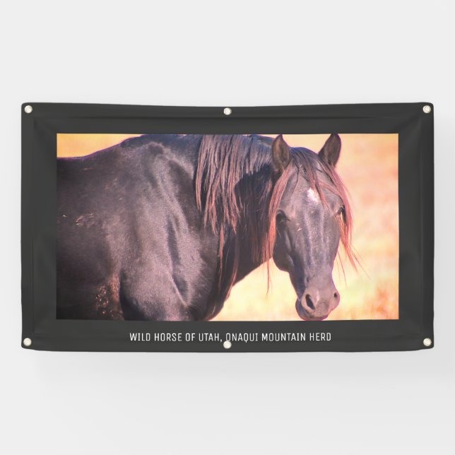 WILD HORSES OF UTAH Banner WITH GROMMETS (Horizontal)