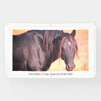 WILD HORSES OF UTAH Banner WITH GROMMETS