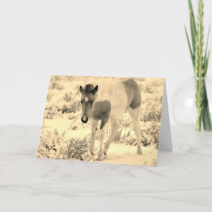 WILD HORSES OF UTAH BLANK CARD FOAL