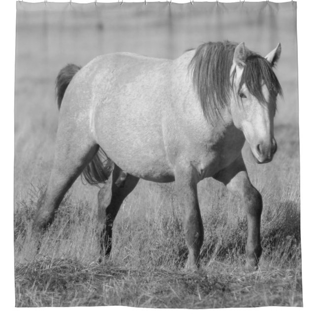 WILD HORSES OF UTAH GREY STALLION SHOWER CURTAIN (Front)