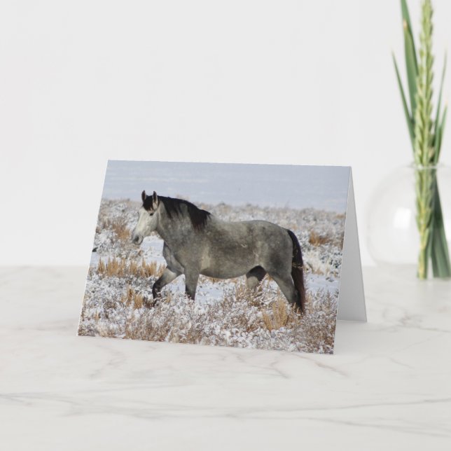 WILD HORSES OF UTAH IN SNOW Greeting Card (Front)