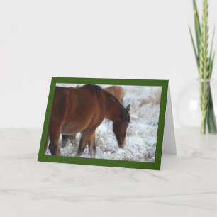 WILD HORSES OF UTAH IN THE SNOW GREETING CARD