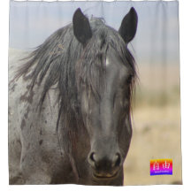 WILD HORSES OF UTAH KANJI FREEDOM SHOWER CURTAIN