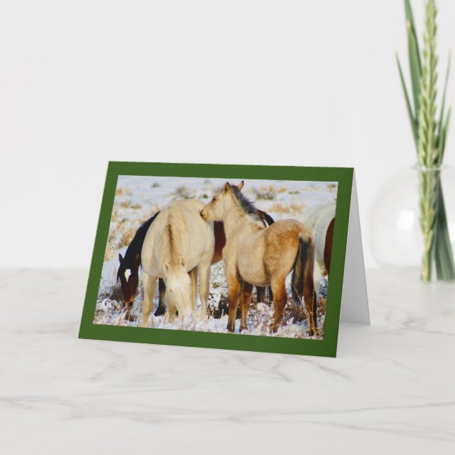 WILD HORSES OF UTAH NATIVITY CHRISTMAS Card (Front)
