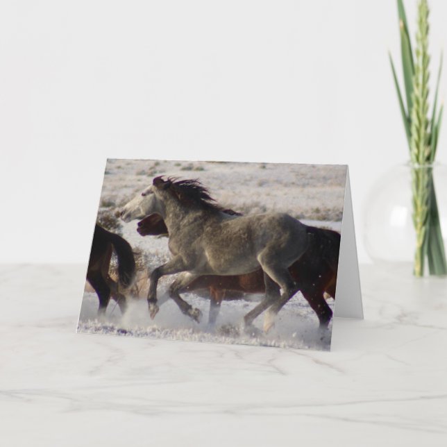WILD HORSES OF UTAH ONAQUI DESERT CHRISTMAS Card (Front)