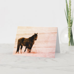 WILD HORSES OF UTAH ONAQUI HERD CARD