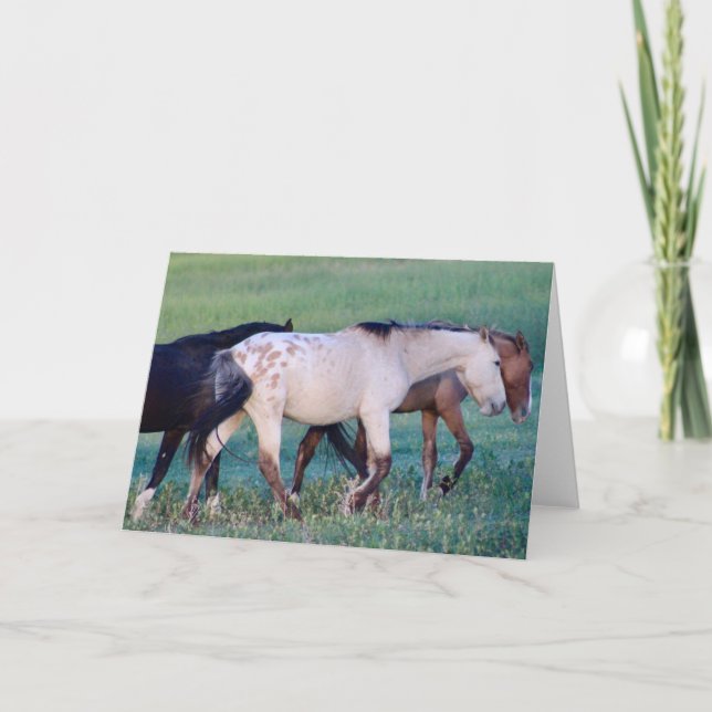 WILD HORSES OF UTAH OURAY NOTECARD (Front)