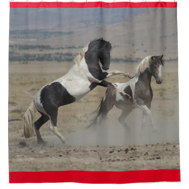 WILD HORSES OF UTAH PINTO FIGHTING SHOWER CURTAIN (Front)