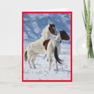 WILD HORSES OF UTAH PINTO GREETING CARD
