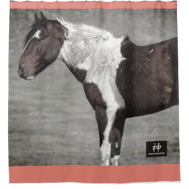 WILD HORSES OF UTAH PINTO Shower Curtain (Front)