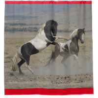 WILD HORSES OF UTAH PINTOS FIGHTING SHOWER CURTAIN