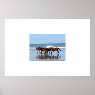 Wild Horses on the Beach Poster