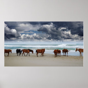 Wild Horses Outer Banks Corolla NC Poster