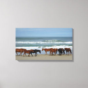 Wild Horses Outer Banks NC Canvas Print