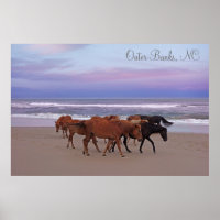 Wild Horses Outer Banks OBX Corolla NC