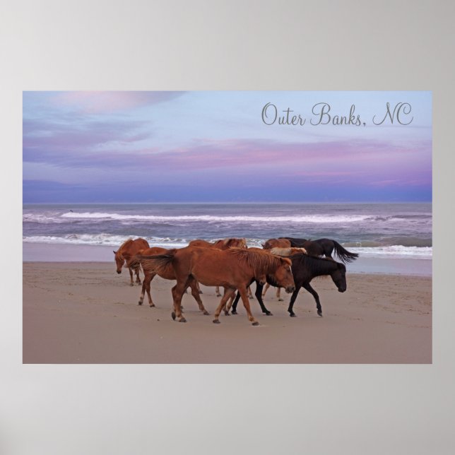 Wild Horses Outer Banks OBX Corolla NC Poster (Front)