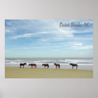 Wild Horses Outer Banks OBX Corolla NC