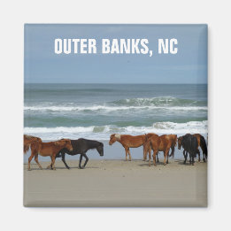 Wild Horses Outer Banks OBX North Carolina Magnet