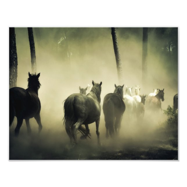 Wild Horses Photo Print (Front)