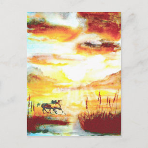 Wild Horses. Postcard